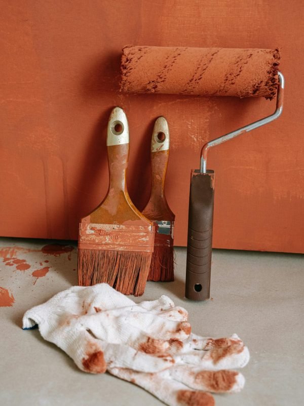 pexels-ivan-s-5798989